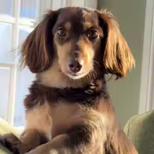 Coco